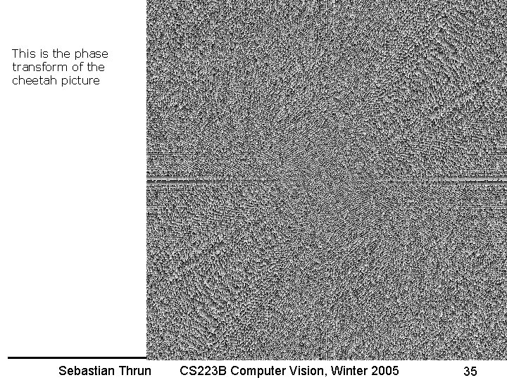 This is the phase transform of the cheetah picture Sebastian Thrun CS 223 B