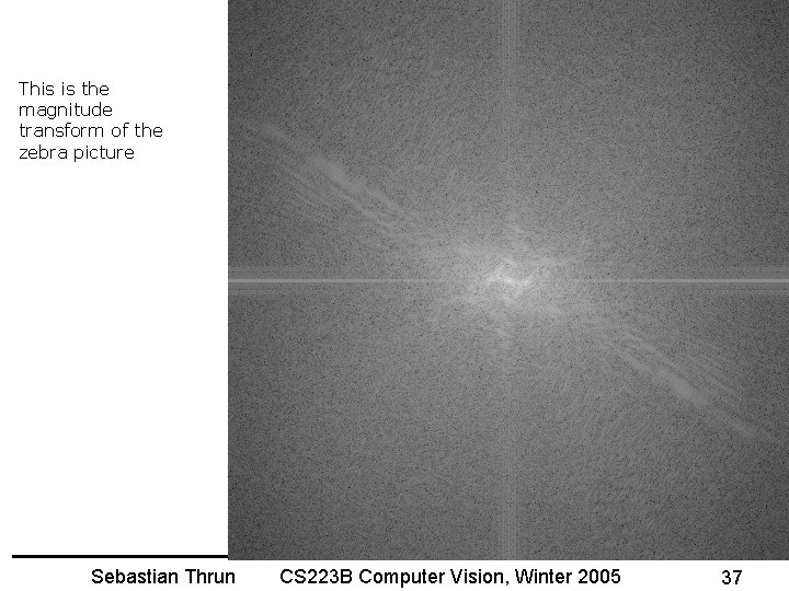 This is the magnitude transform of the zebra picture Sebastian Thrun CS 223 B