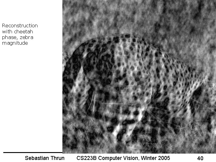 Reconstruction with cheetah phase, zebra magnitude Sebastian Thrun CS 223 B Computer Vision, Winter