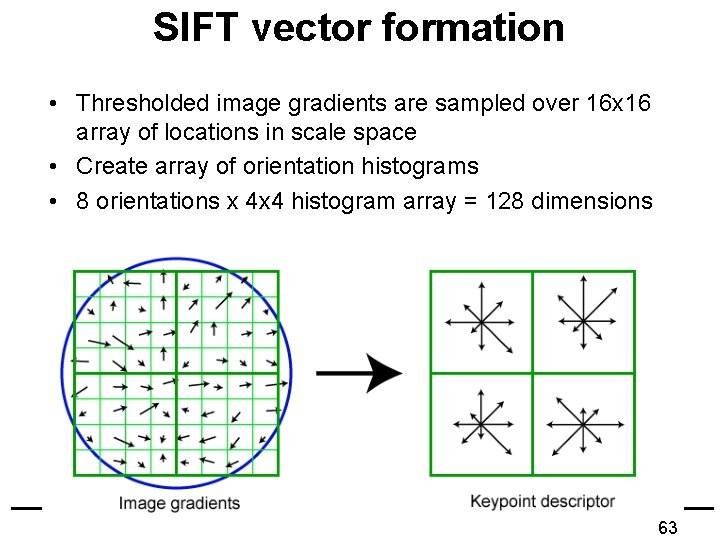 SIFT vector formation • Thresholded image gradients are sampled over 16 x 16 array