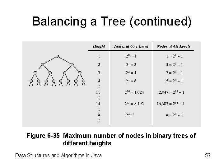 Balancing a Tree (continued) Figure 6 -35 Maximum number of nodes in binary trees Balancing a Tree (continued) Figure 6 -35 Maximum number of nodes in binary trees