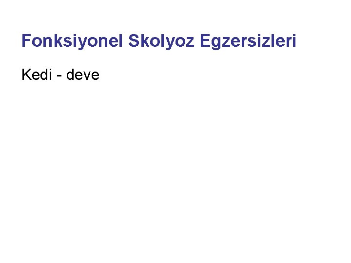 Fonksiyonel Skolyoz Egzersizleri Kedi - deve 