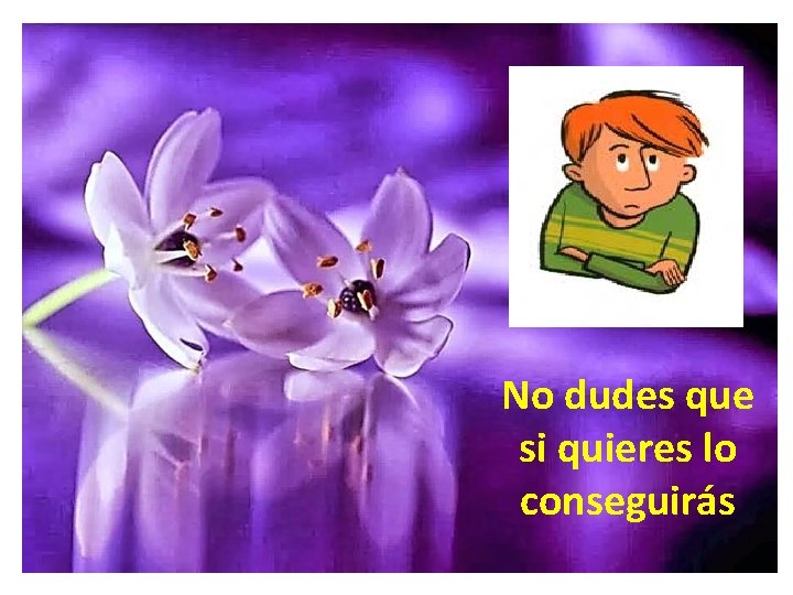 No dudes que si quieres lo conseguirás 