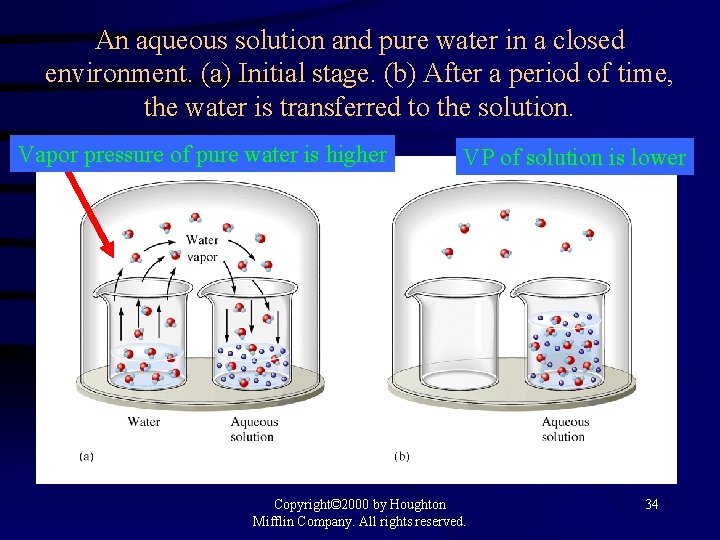 An aqueous solution and pure water in a closed environment. (a) Initial stage. (b)