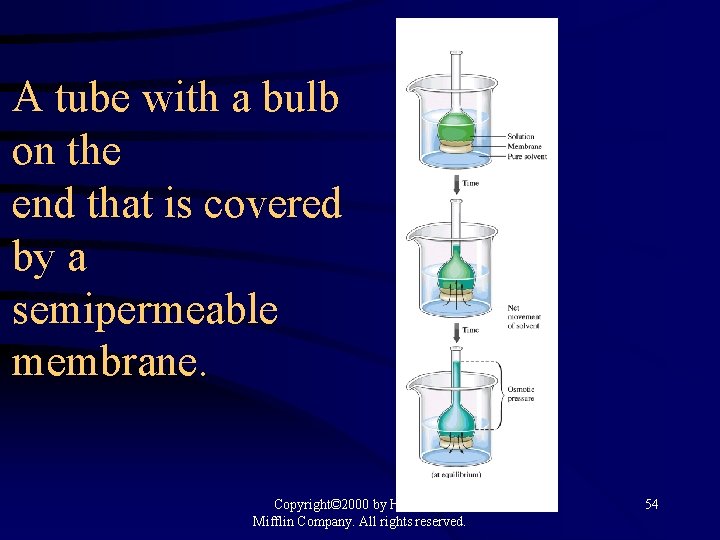 A tube with a bulb on the end that is covered by a semipermeable