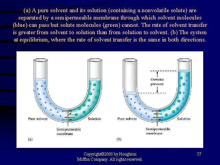 (a) A pure solvent and its solution (containing a nonvolatile solute) are separated by
