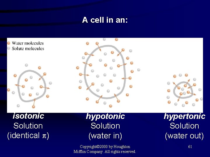 A cell in an: isotonic Solution (identical p) hypotonic Solution (water in) Copyright© 2000