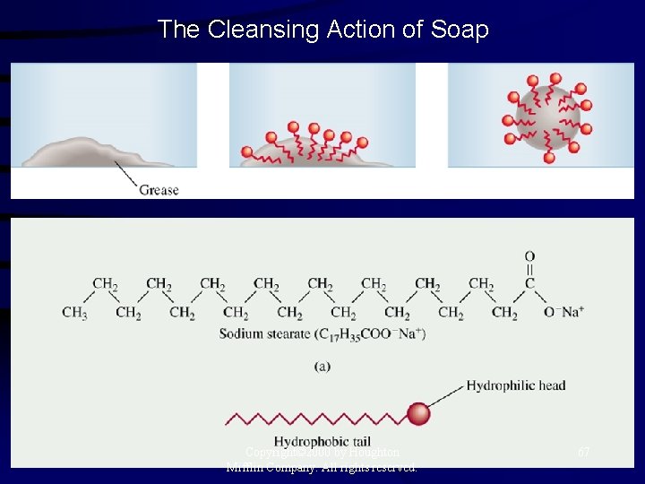 The Cleansing Action of Soap Copyright© 2000 by Houghton Mifflin Company. All rights reserved.