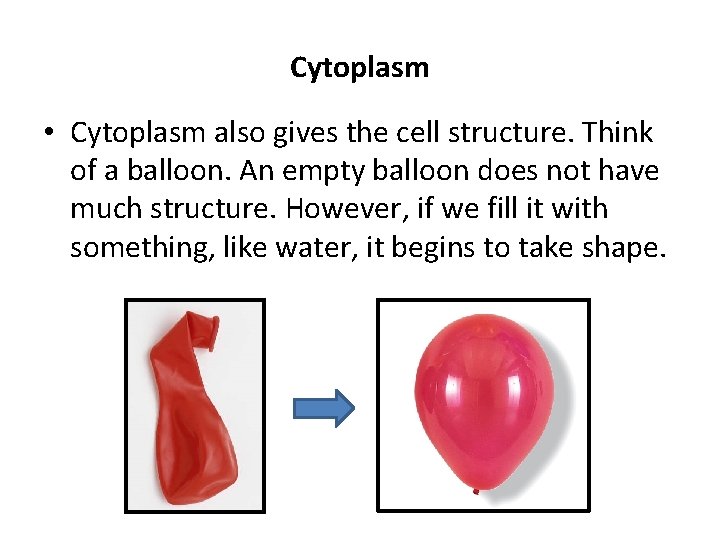 Cytoplasm • Cytoplasm also gives the cell structure. Think of a balloon. An empty