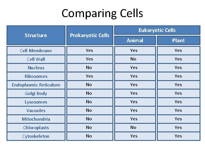 Comparing Cells Structure Prokaryotic Cells Cell Membrane Eukaryotic Cells Animal Plant Yes Yes Cell