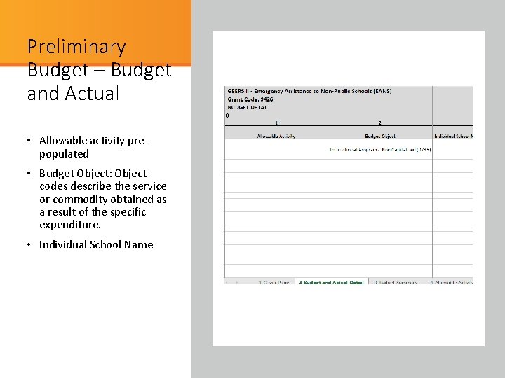 Preliminary Budget – Budget and Actual Detail • Allowable activity prepopulated • Budget Object: