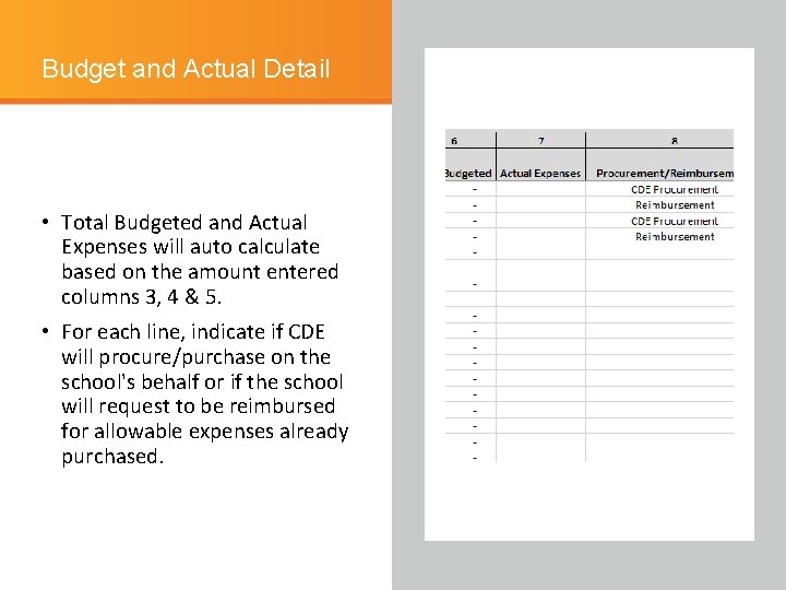 Budget and Actual Detail • Total Budgeted and Actual Expenses will auto calculate based