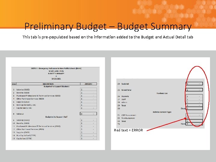 Preliminary Budget – Budget Summary This tab is pre-populated based on the information added
