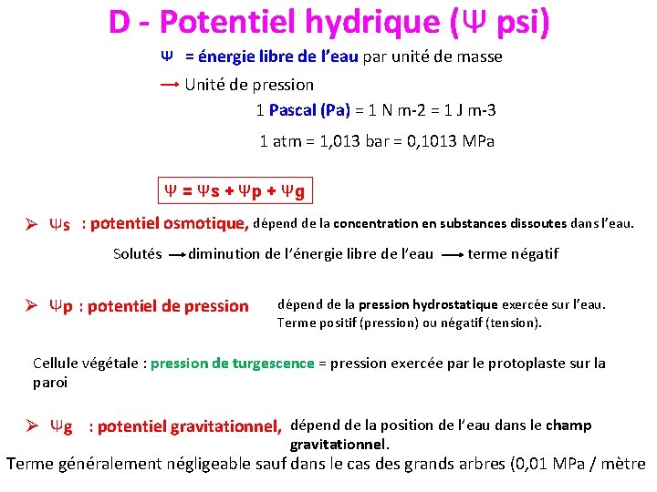 D - Potentiel hydrique (Ψ psi) Ψ = énergie libre de l’eau par unité