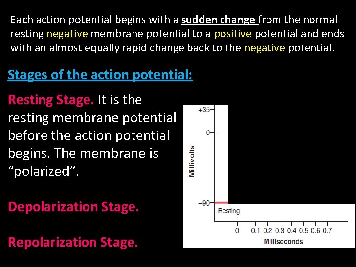 Each action potential begins with a sudden change from the normal resting negative membrane Each action potential begins with a sudden change from the normal resting negative membrane