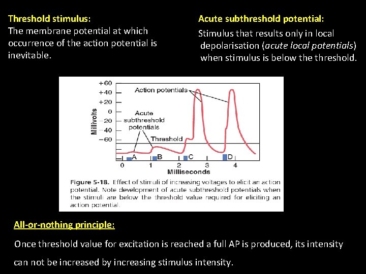 Threshold stimulus: The membrane potential at which occurrence of the action potential is inevitable. Threshold stimulus: The membrane potential at which occurrence of the action potential is inevitable.