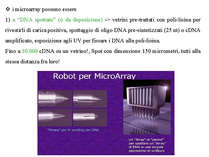 v i microarray possono essere 1) a “DNA spottato” (o da deposizione) -> vetrini