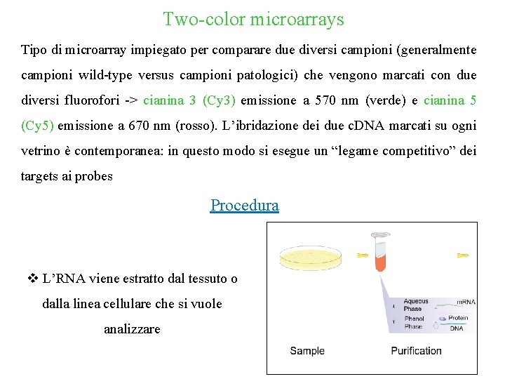 Two-color microarrays Tipo di microarray impiegato per comparare due diversi campioni (generalmente campioni wild-type