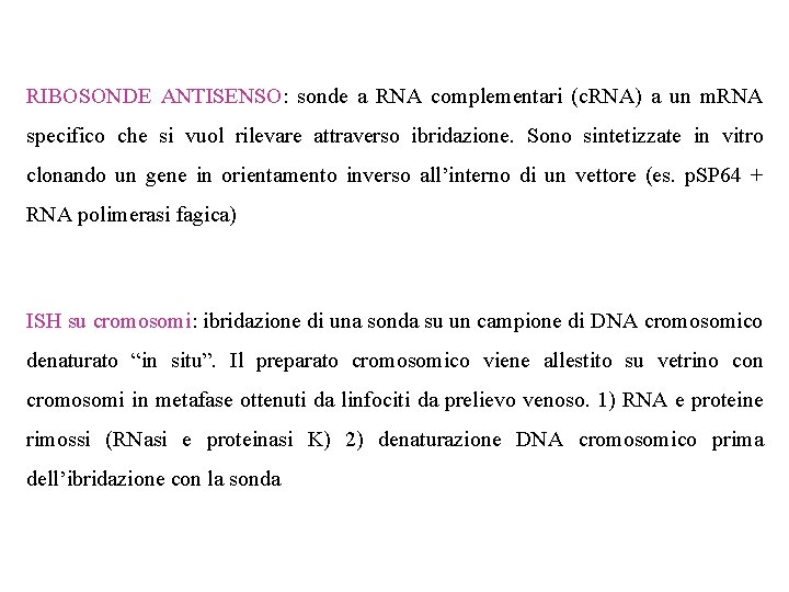 RIBOSONDE ANTISENSO: sonde a RNA complementari (c. RNA) a un m. RNA specifico che