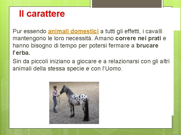 Il carattere Pur essendo animali domestici a tutti gli effetti, i cavalli mantengono le