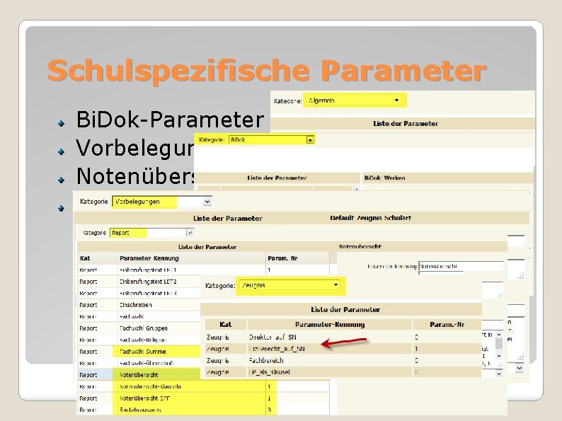 Schulspezifische Parameter Bi. Dok-Parameter Vorbelegungen Notenübersicht bzw. NÜ-SPF Direktor. In bzw. Erziehungsber. auf SN