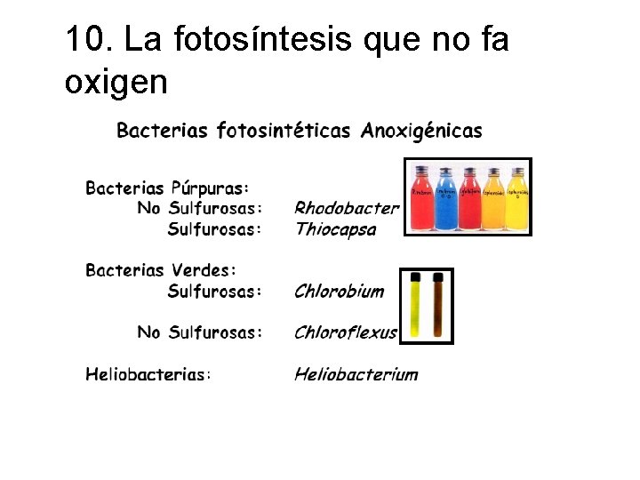 10. La fotosíntesis que no fa oxigen 