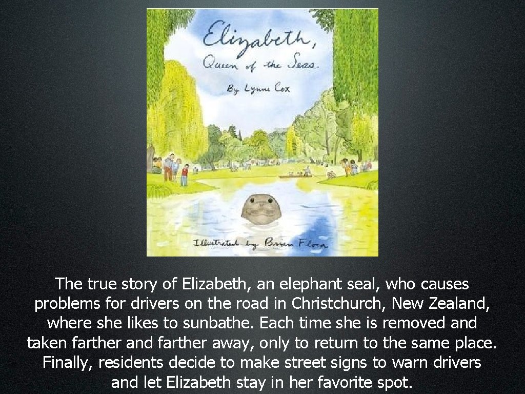 The true story of Elizabeth, an elephant seal, who causes problems for drivers on