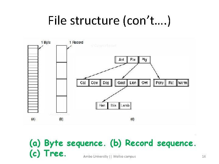 File structure (con’t…. ) (a) Byte sequence. (b) Record sequence. (c) Tree. Ambo University