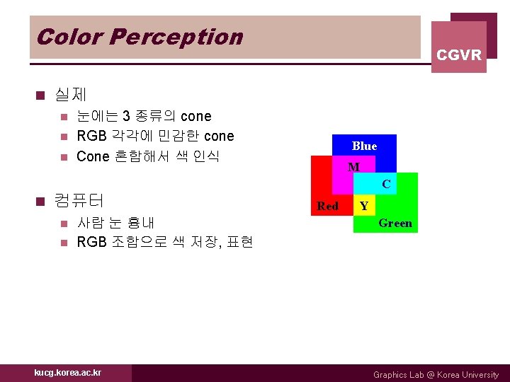 Color Perception n CGVR 실제 눈에는 3 종류의 cone n RGB 각각에 민감한 cone