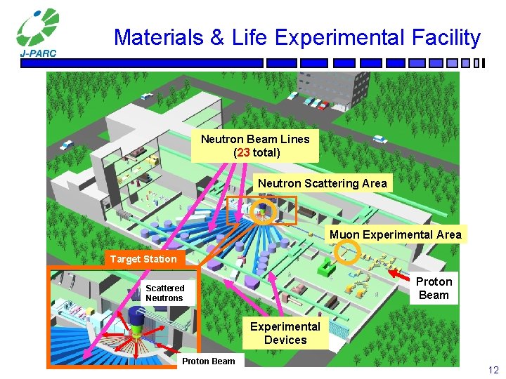 Materials & Life Experimental Facility Neutron Beam Lines (23 total) Neutron Scattering Area Muon