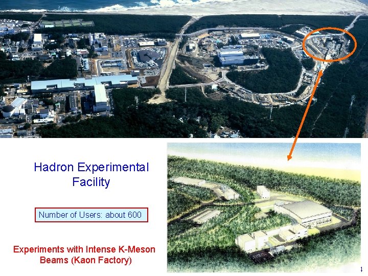 Hadron Experimental Facility Number of Users: about 600 Experiments with Intense K-Meson Beams (Kaon