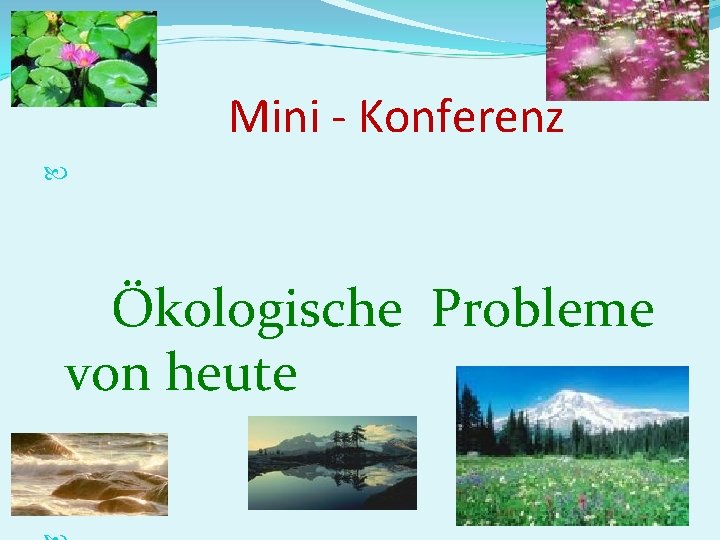 Mini - Konferenz Ökologische Probleme von heute 