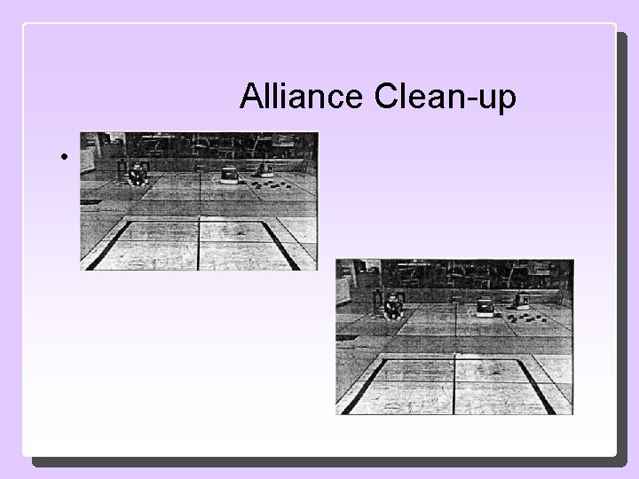 Alliance Clean-up 