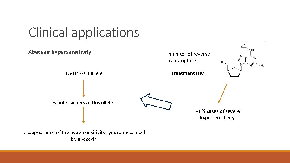 Clinical applications Abacavir hypersensitivity HLA-B*5701 allele Inhibitor of reverse transcriptase Treatment HIV Exclude carriers