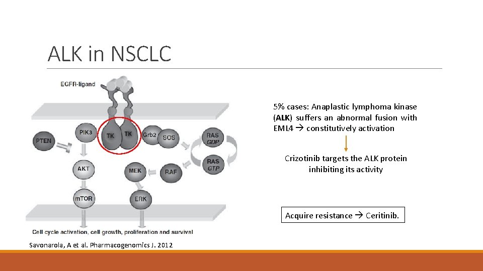 ALK in NSCLC 5% cases: Anaplastic lymphoma kinase (ALK) suffers an abnormal fusion with