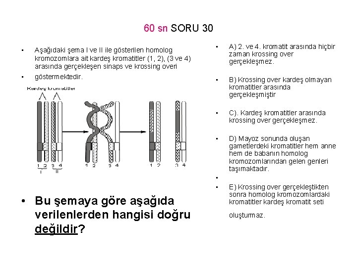 60 sn SORU 30 • • Aşağıdaki şema I ve II ile gösterilen homolog