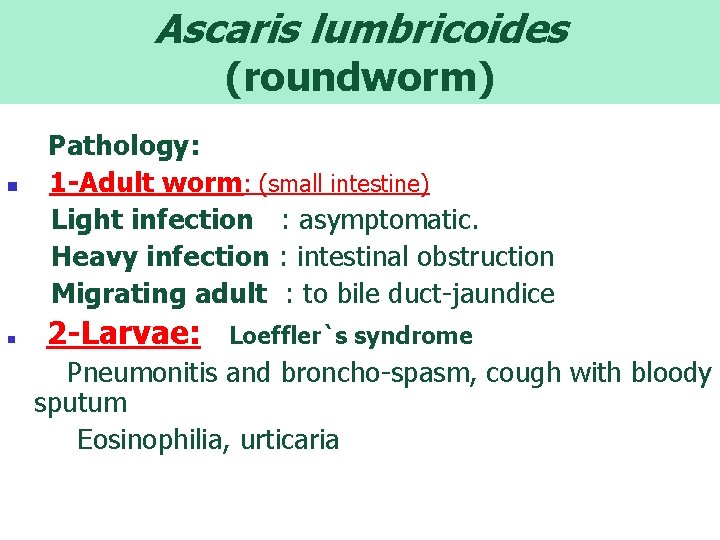 Ascaris lumbricoides (roundworm) n n Pathology: 1 -Adult worm: (small intestine) Light infection :
