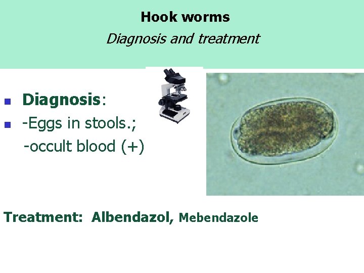 Hook worms Diagnosis and treatment n n Diagnosis: -Eggs in stools. ; -occult blood