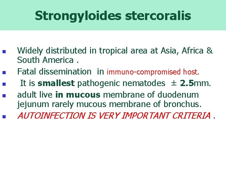 Strongyloides stercoralis n n n Widely distributed in tropical area at Asia, Africa &