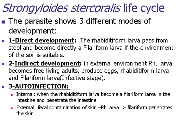 Strongyloides stercoralis life cycle n n The parasite shows 3 different modes of development: