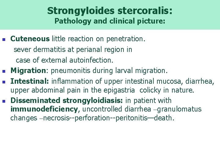 Strongyloides stercoralis: Pathology and clinical picture: n n Cuteneous little reaction on penetration. sever