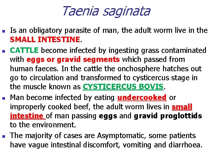 Taenia saginata n n Is an obligatory parasite of man, the adult worm live