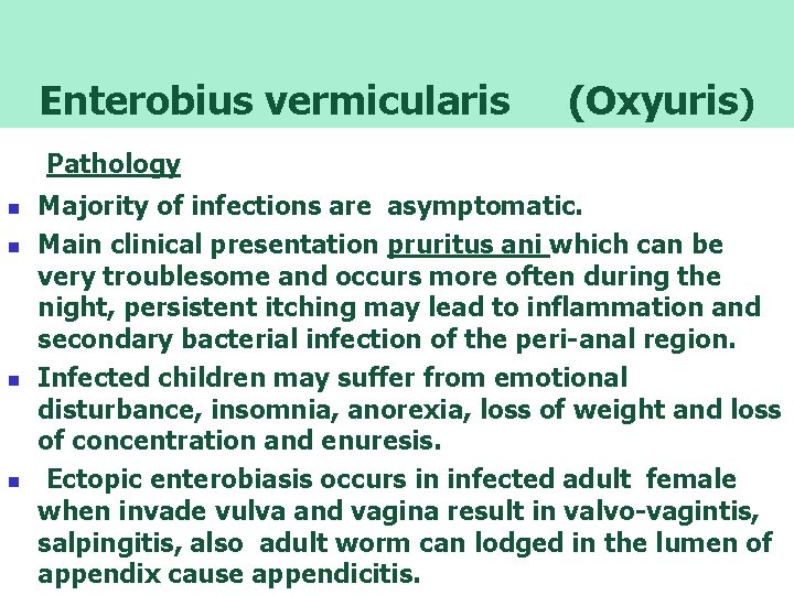 Enterobius vermicularis (Oxyuris) Pathology n n Majority of infections are asymptomatic. Main clinical presentation