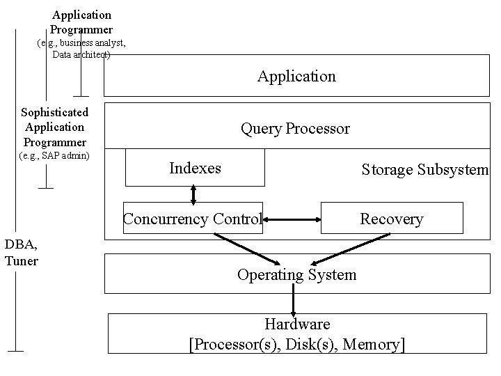Application Programmer (e. g. , business analyst, Data architect) Application Sophisticated Application Programmer (e.