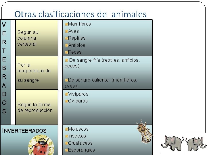 Otras clasificaciones de animales V E R T E B R A D O