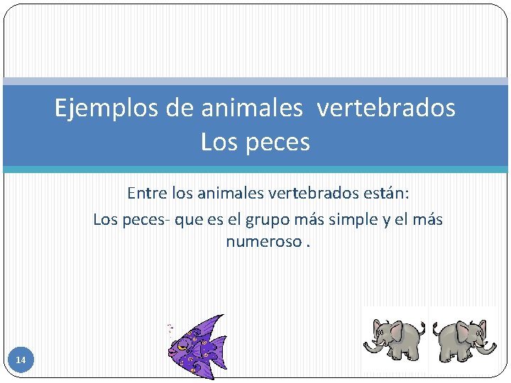 Ejemplos de animales vertebrados Los peces Entre los animales vertebrados están: Los peces- que