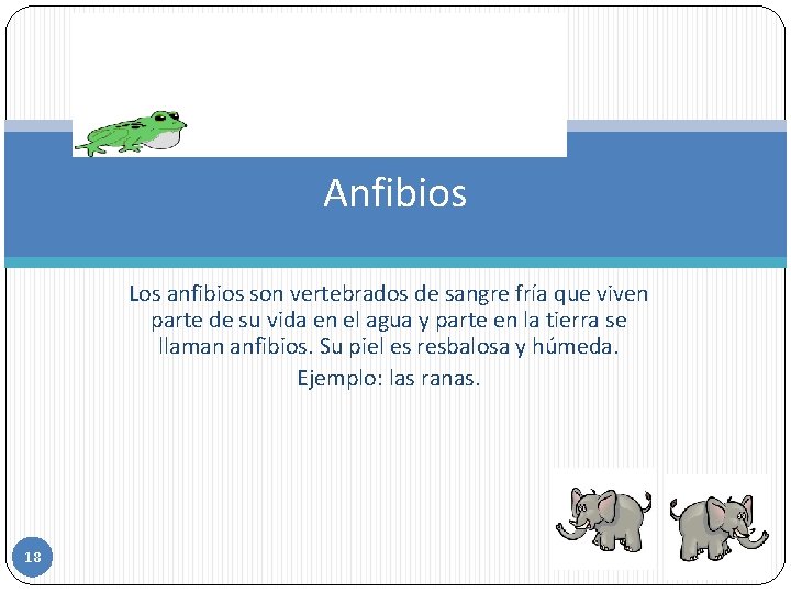 Anfibios Los anfibios son vertebrados de sangre fría que viven parte de su vida