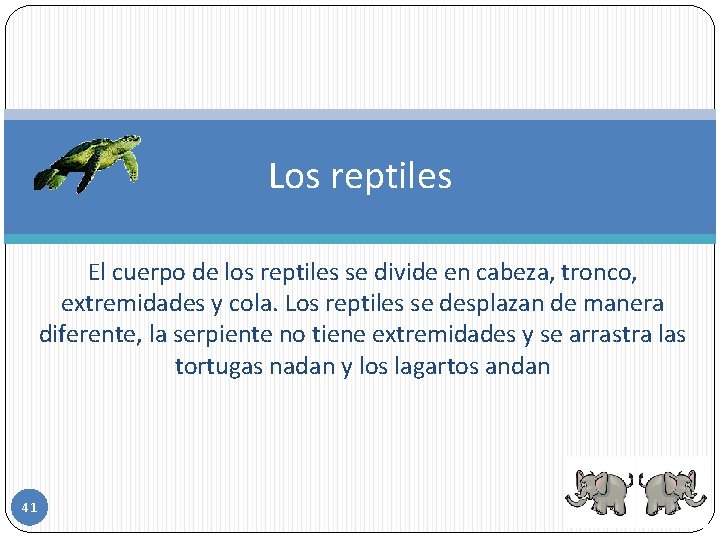 Los reptiles El cuerpo de los reptiles se divide en cabeza, tronco, extremidades y