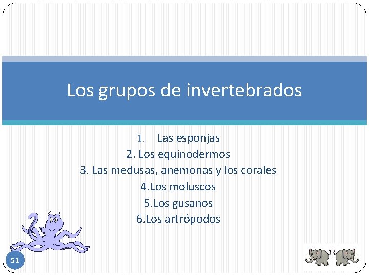 Los grupos de invertebrados Las esponjas 2. Los equinodermos 3. Las medusas, anemonas y