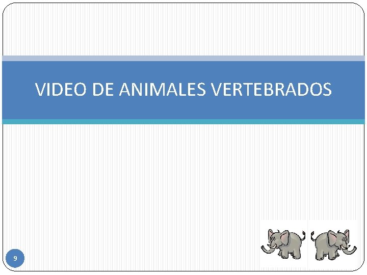 VIDEO DE ANIMALES VERTEBRADOS 9 